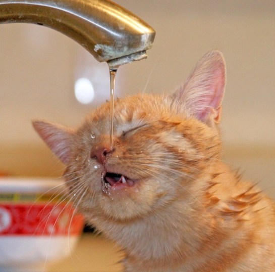 a33a9a8420766609bb3a109f2d9264d4[1]