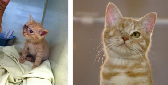 eaad7bda317a37cd500fe25858c6467d[1]